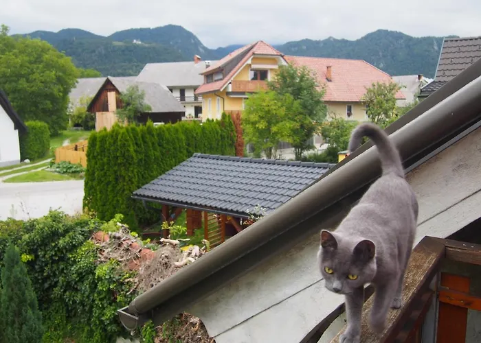 בית נופש Tony's Old Farm *